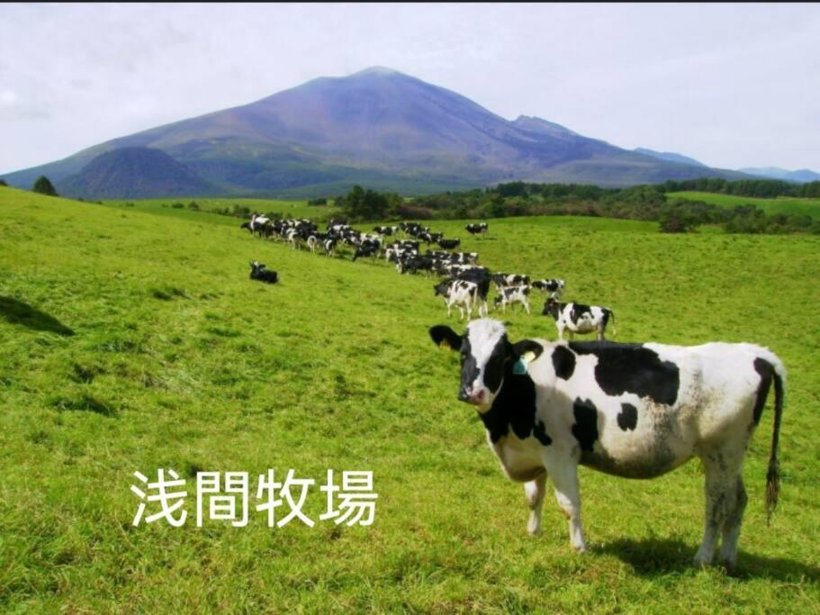 おもちゃ王国と北軽井沢の大自然を満喫できる貸別荘 Karuizawa Luaran gambar